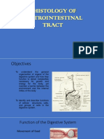 Histology Digestive System