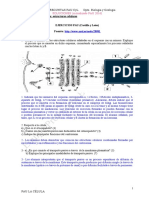 Pau Biologia Estruc Celulares Soluciones 2016