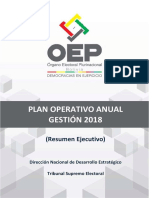 Resumen Ejecutivo POA 2018 PDF