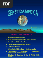 GENÉ - MÉDICA USMP - Actualización