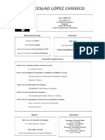 Curriculum Wenceslao López Canseco 31012015 PDF