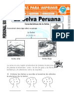 Ficha de La Selva Peruana para Segundo de Primaria