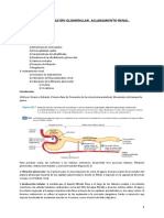 Ultrafiltracion Glomerular