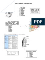 Resumo 1 Bim - Anestesiologia