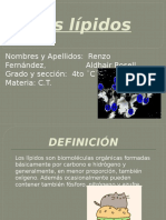 Los Lípidos