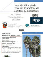 Manual Arbolado Ver1.8 PDF