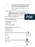 Prueba Ciencias 2 Basico Mi Cuerpo Dos