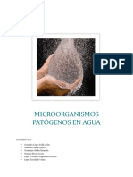 Microorganismos Patogenos en El Agua