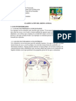 Clasificación de Los Invertebrados