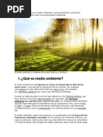 ¿Qué Es Medio Ambiente?: Seres Vivos y Que Permite La Interacción de Los Mismos. Sin Embargo