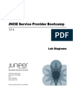 JNCIE-SP-12.a LD