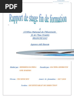 Rapport de Stage T.s.dtloo