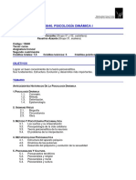 Estructura de Un Programa de Psicología Dinámica