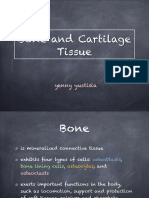 Bone and Cartilage PDF