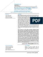 Uji Antibakteri Ekstrak Daun Kersen (Muntingia Calabura L.) Terhadap Koloni Streptococcus Viridians