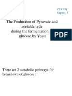 The Production of Pyruvate and Acetaldehyde During The Fermentation of Glucose by Yeast