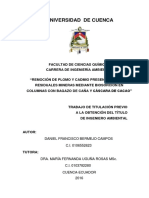 Tesis PDF