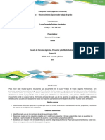 Fase 1 - Reconocimiento Opciones de Trabajo de Grado