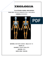 Osteologia Resumen