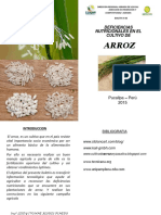 B Boletin #03 Deficiencias Nutricionales Del Arroz 2015