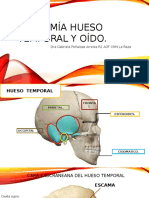 Anatomía Hueso Temporal y Oído