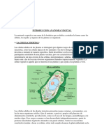 Introduccion Anatomia Vegetal