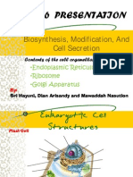 Biosyntesis Modification, and Cell Secretion 1