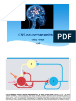 CNS Neurotransmitters