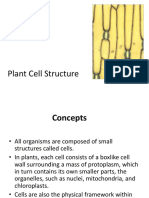 03.cell Structure and Organelles-Krt-1