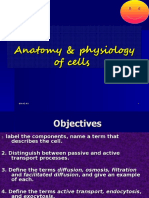 Anatomy & Physiology of Cells