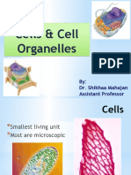 Cell and Sub Cellular Organelles