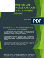 Derechos de Los Pueblos Indigenas en Relacion Al Sistema Penal