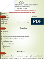 Etapas para o Licenciamento Ambiental em Moçambique e Os Diferentes Actores Envolvidos em Cada Uma Das Etapas