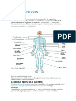 Biologia Sistema Nervoso