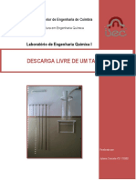 Relatorio Descarga Livre PDF