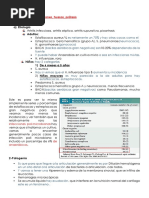 Infecciones de Articulaciones, Huesos y Prótesis