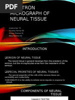 Neural Tissues