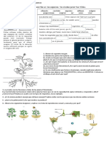 Trabajo Práctico Evaluativo Sobre Plantas