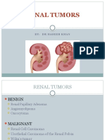 Renal Tumors: By: DR Haseeb Khan