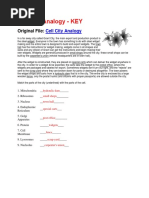 Cell City Analogy Key