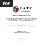 PDF Documento