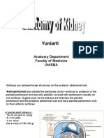 Yuniarti: Anatomy Department Faculty of Medicine Unisba