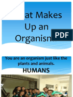 What Makes Up An Organism?