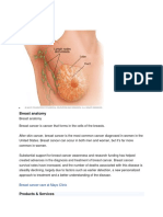 Breast Anatomy: Breast Cancer Care at Mayo Clinic