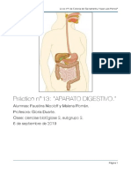 Práctico Aparato Digestivo