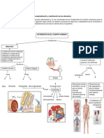 Conceptualizacion y Clasificacion de Los Alimentos