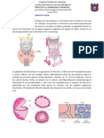 Hormonas Tiroideas