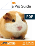 Guinea Pig Guide