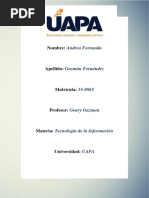 Tarea Final de Tecnologia de La Informacion