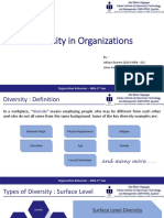 Diversity in Organizations